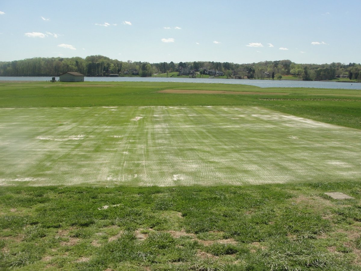 UMNTurf's tweet photo. Don't miss the latest #WinterTurf blog post, "Topdressing as a winter stress prevention strategy", by
Adam Thoms @ThomsTurf of Iowa State University!
https://t.co/vkqVKHlwIu
#SandTopdressing #GolfCourse #WinterDessication https://t.co/lGEmaA05Co