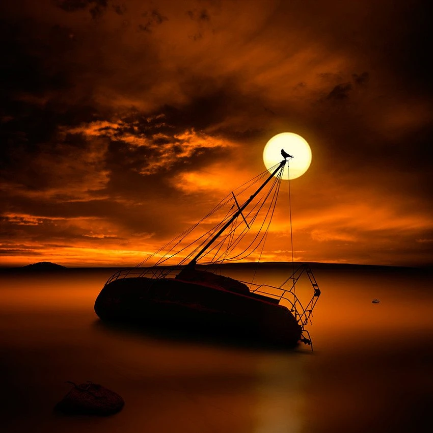 LeoAuteur's tweet photo. Ce soir c'est cette #photo de Caras Ionut que je vous propose pour vous souhaiter mes meilleurs vœux pour la #nuit à venir. À demain. https://t.co/WeO6aJhVng
