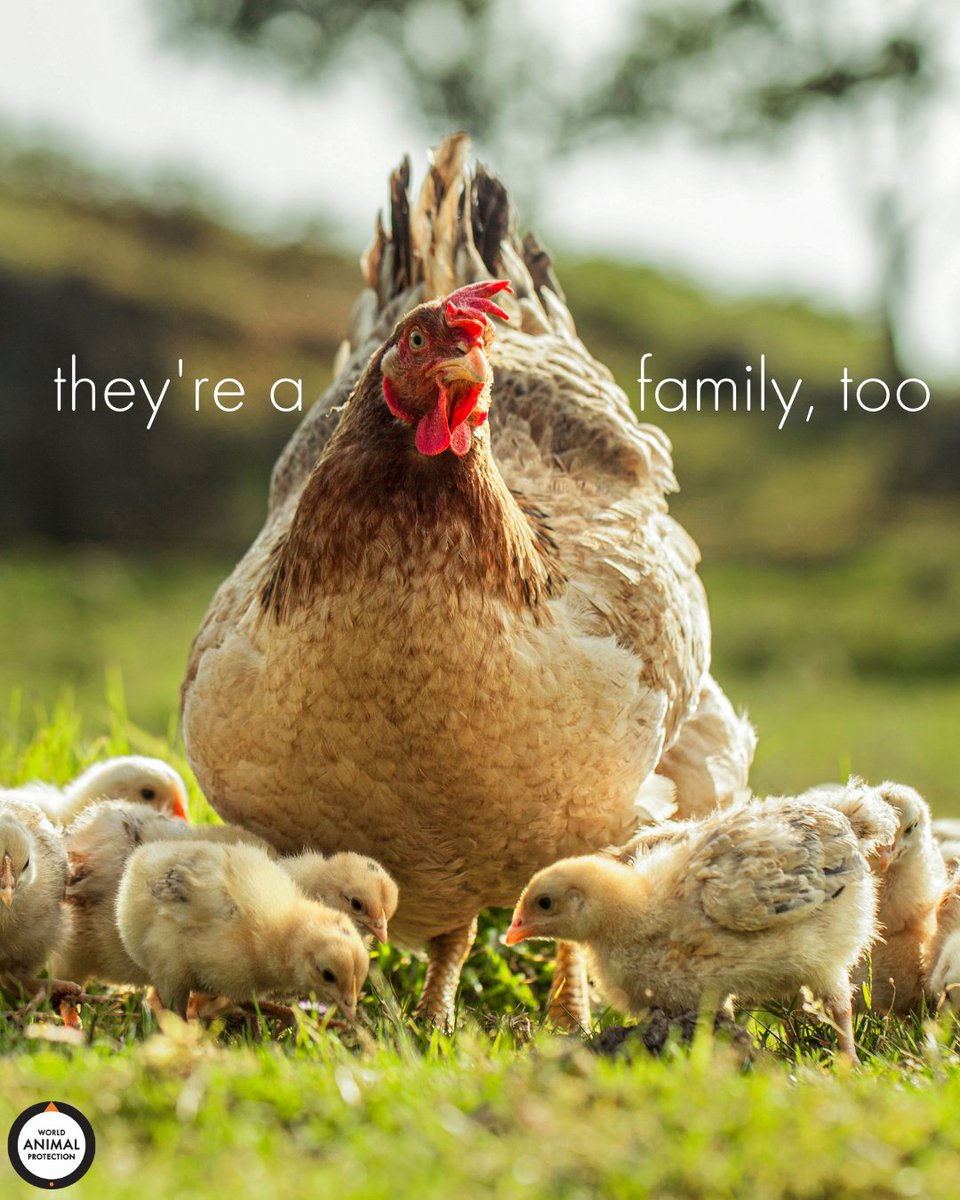 Families belong together.