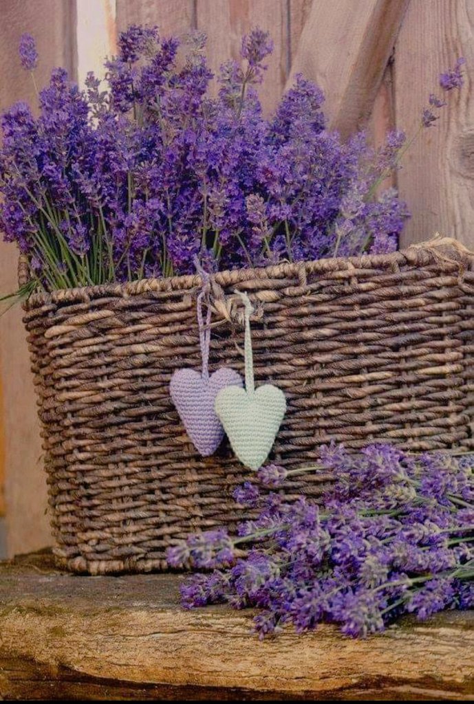 mavi_5757's tweet image. Herkesin başkasını konuştuğu bu aynalar pazarında,
Seni kimselere söylemeden öleceğim!

#ince'sızım'
#imkan'sızım'