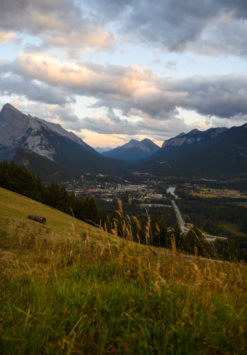 Matthew Thompson tweet media