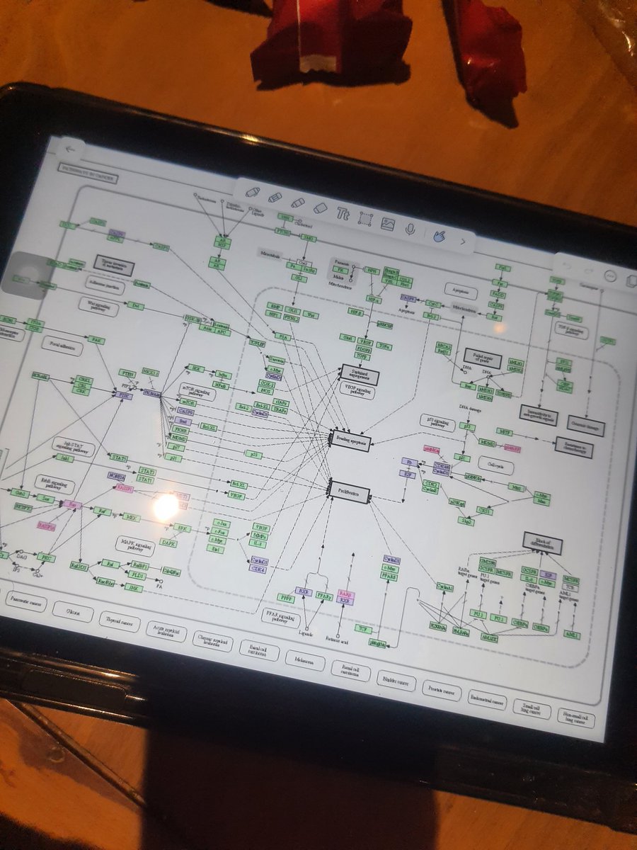 Hocanin ben zaten sinavda zorlamam deyip soruyu sordugu slayt