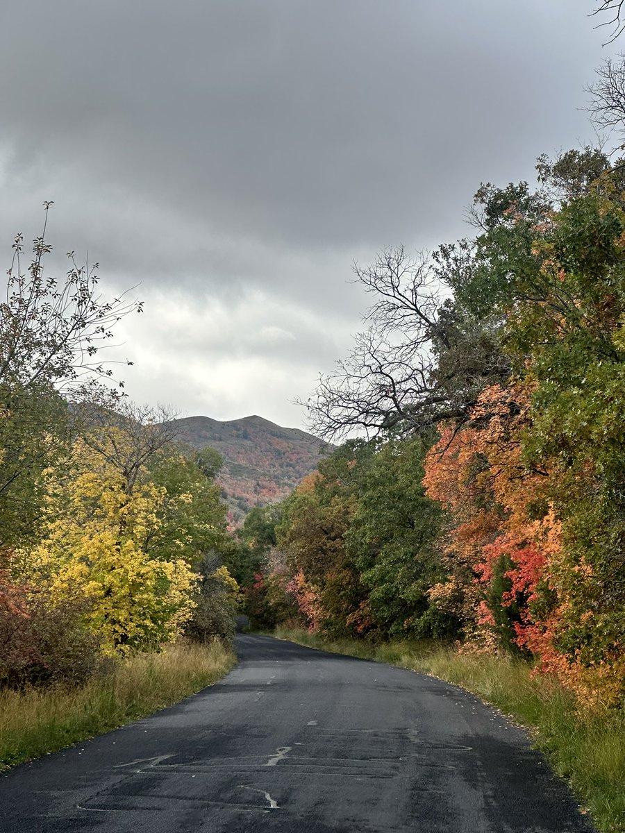 o7Tayy's tweet image. 🍁🌄🚵🏔️