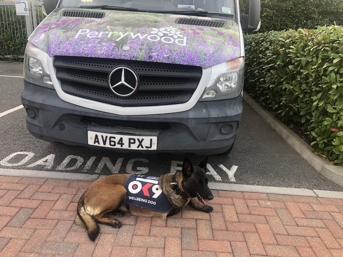 Brilliant visit to see the staff this afternoon <a href="/PerrywoodGarden/">Perrywood Garden Centre Tiptree</a> with <a href="/PBaloo/">PDBaloo</a> 
More than a Garden Centre &amp; Restaurant, this place lifts your spirits and oh my goodness have they smashed Christmas again this year! We had so much fun! Spot me &amp; Baloo in one pic 🤣 
Love this place!