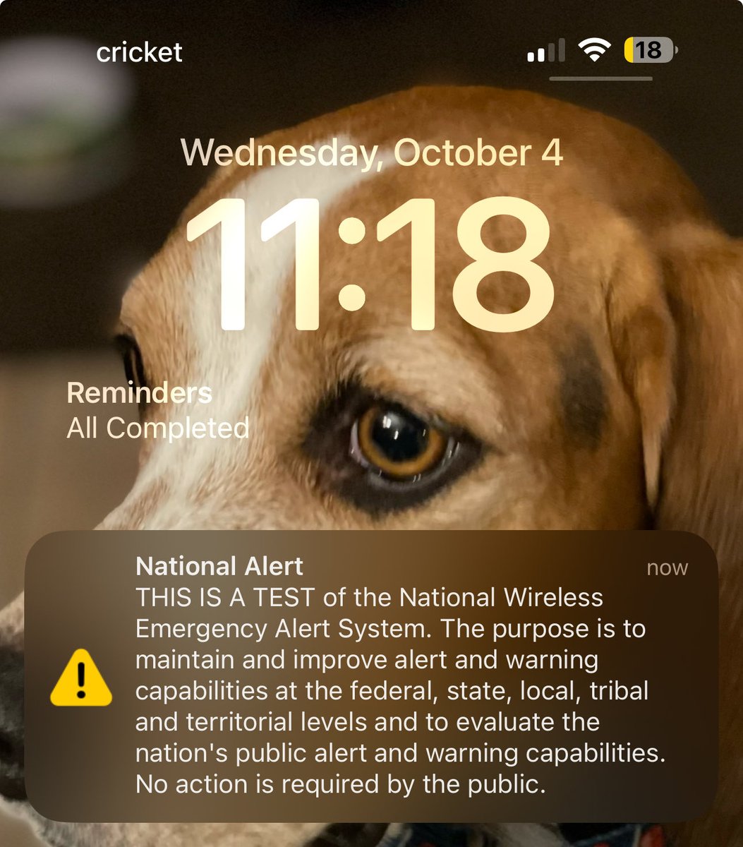 BuzzJackson's tweet image. Never fear, America… Archie is watching over the National #EmergencyAlertTest and says we passed.