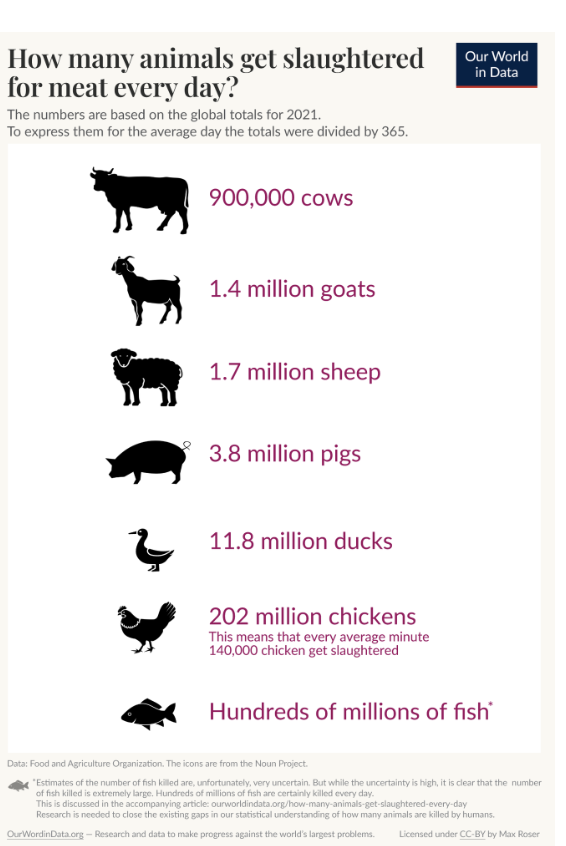 XAlberte's tweet image. Veo que es el #DiaDeLosAnimales, una buena oportunidad para señalar los millones que sacrificamos cada día. Cada día.