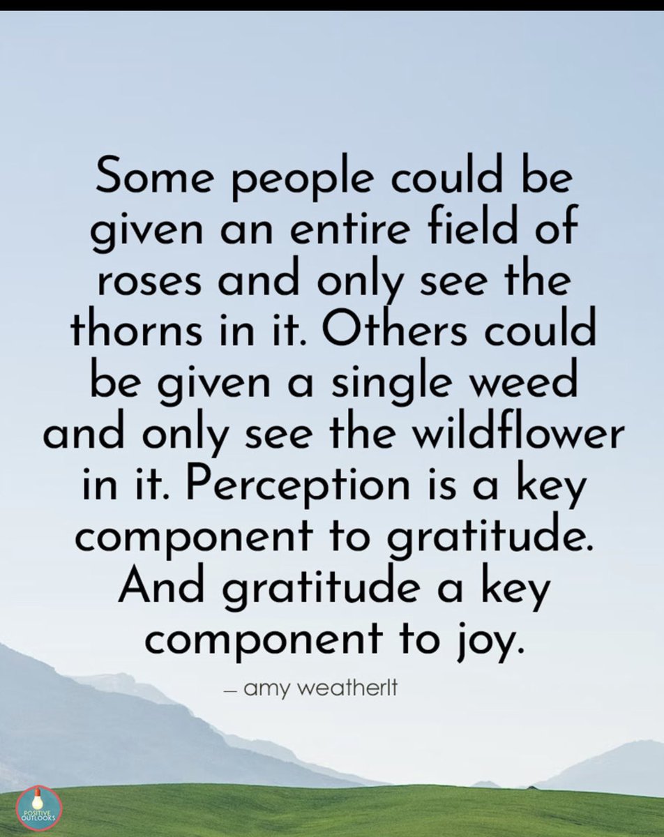 Perception shapes gratitude and gratitude brings joy ..
Power of gratitude 🙏 

Credit : @mypositiveouooks 
#perceptionmatters 
#Gratitude 
#joyfulhearts 
#positiveoutlook