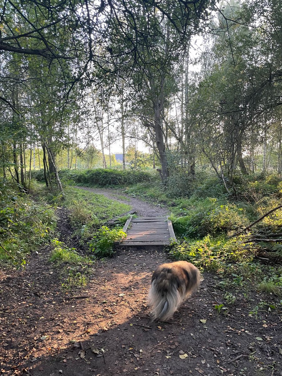 Happy #WorldAnimalDay !