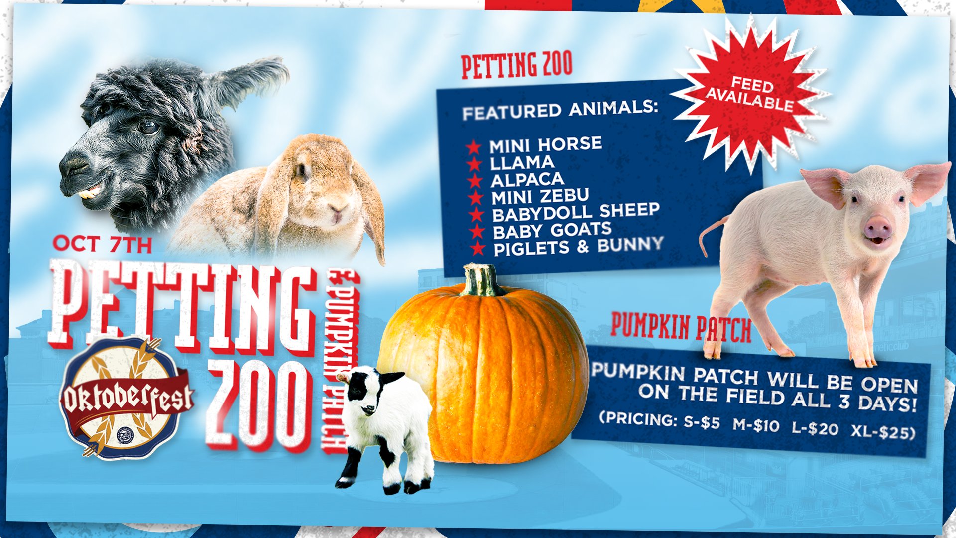 FamilyFun - Petting Zoo