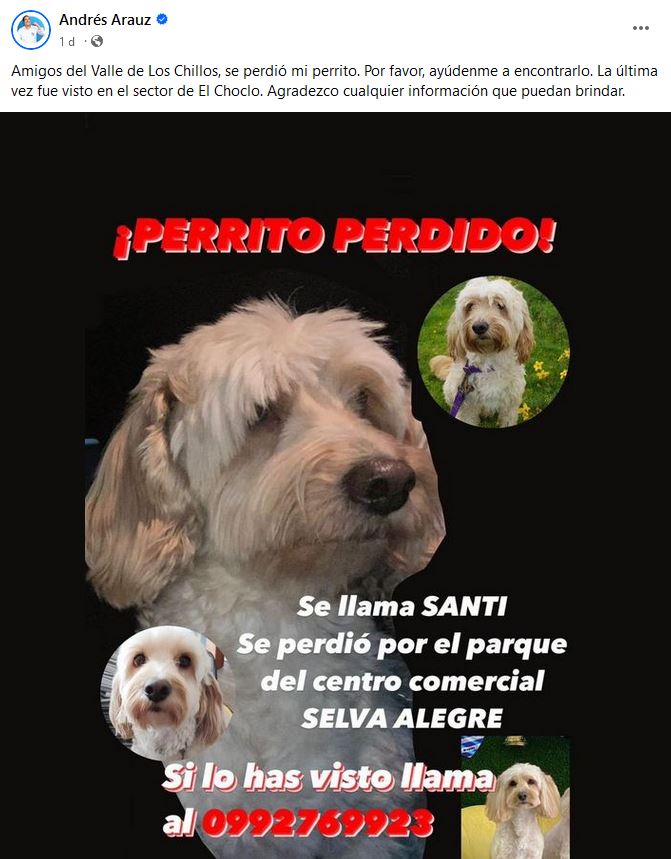 Ayudemos al #perrito Santi a volver a su hogar 🐶 #AlertaMePerdí 🐾 #PerritosPerdidos 🐾 #perro 🐾 #ValleDeLosChillos #Quito #Ecuador Difundan por favor