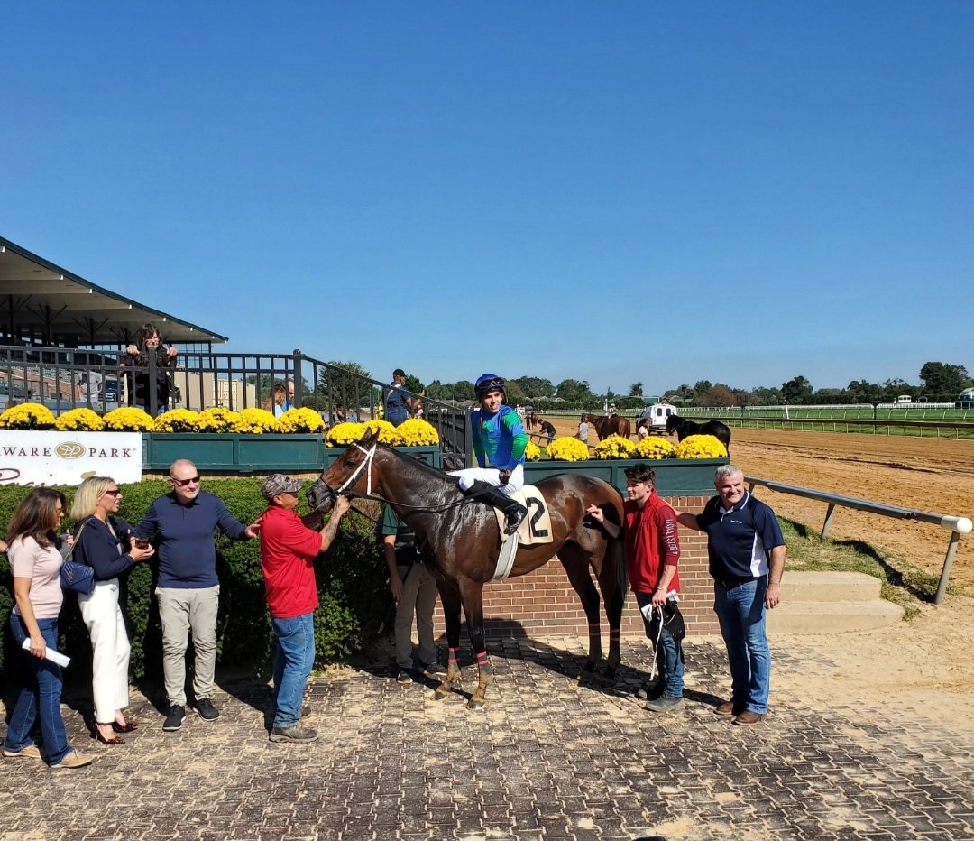 Saddles and Sulkies tweet media