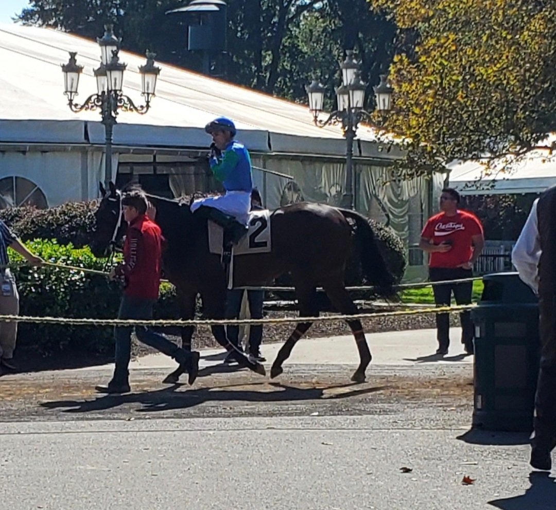 Saddles and Sulkies tweet media