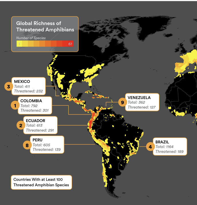 vickyflechas's tweet photo. Adicional al artículo de @Nature, hoy se publicó el Reporte del Estado de los Anfibios en el 🌏 @rewild @ASG_IUCN @SynchEarth . Colombia uno de los países con mayor # de spp, pero también con un gran número de especies en riesgo. El reporte 👉 https://t.co/SoGnOn0j7q https://t.co/Tj7BpEgmTF