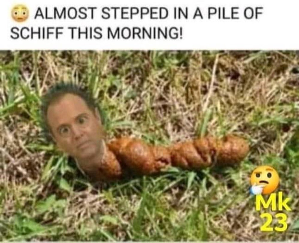 gizmothegrrreat's tweet photo. @RepAdamSchiff https://t.co/tYHJIUmFyw