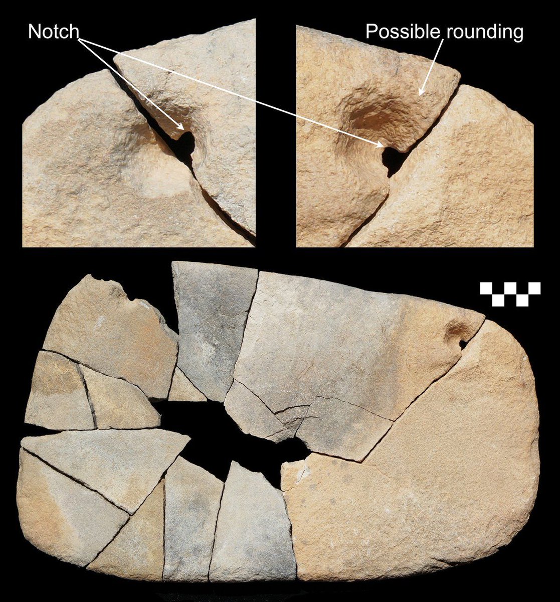 MPI_GEA's tweet photo. Analysis of grinding tools reveals plant, pigment and bone processing in Neolithic northern Saudi Arabia - Tools from the site of Jebel Oraf shed new light on the subsistence and lifestyle of ancient peoples in the region. Follow the link to learn more: https://t.co/SfSPxY1AVo https://t.co/3u8Wn42oRT