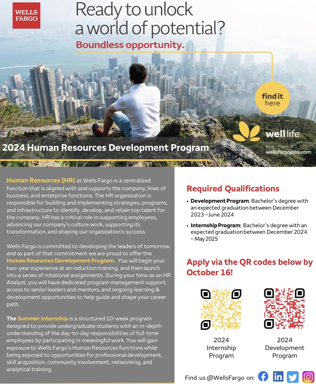 Wells Fargo Internship Summer 2024 Vita Aloysia