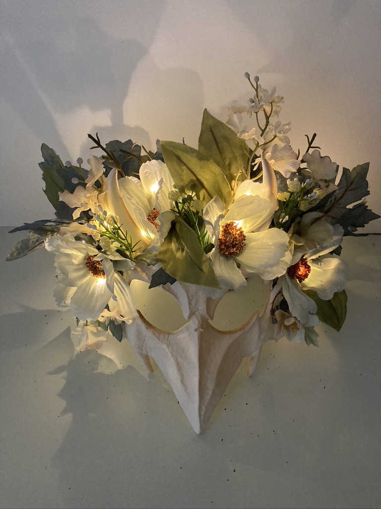 🌱Nancy Zimmerman 🎨✏️🖌️ 😳🍰🐥🐥🐭 (@mau5mom) on Twitter photo Light up your Halloween with this enchanting bird skull mask at larkandlinnet.com/collections/li…
#Halloween <a href="/halloweenmask/">halloween mask</a> #halloweencostume Light up your Halloween with this enchanting bird skull mask at larkandlinnet.com/collections/li…
#Halloween <a href="/halloweenmask/">halloween mask</a> #halloweencostume