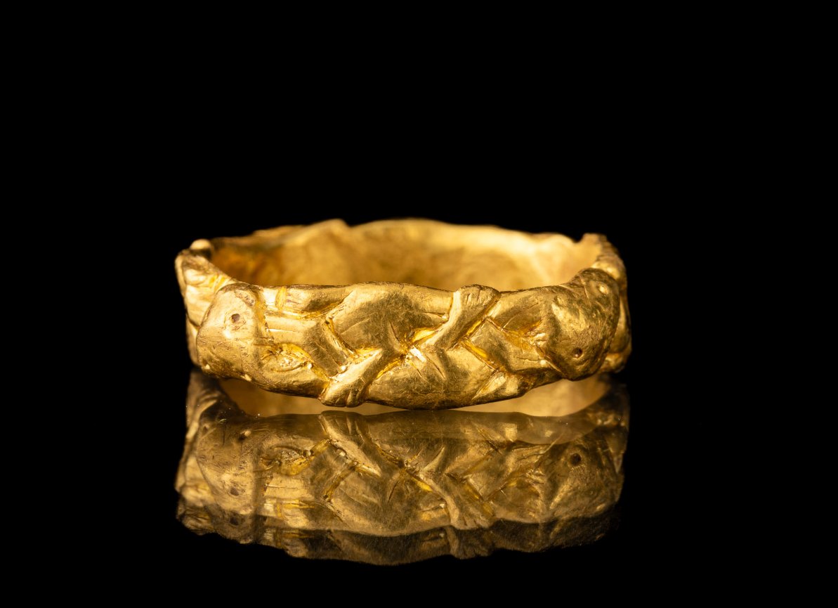 Look at this glorious gold Anglo-Saxon ring! Found in #Devon in 2018. The #Wembworthy ring is tiny, made for a small woman or even a child. It's decorated with an intricate pattern of intertwined animals and has just been acquired by Exeter's fabulous @RAMMuseum.