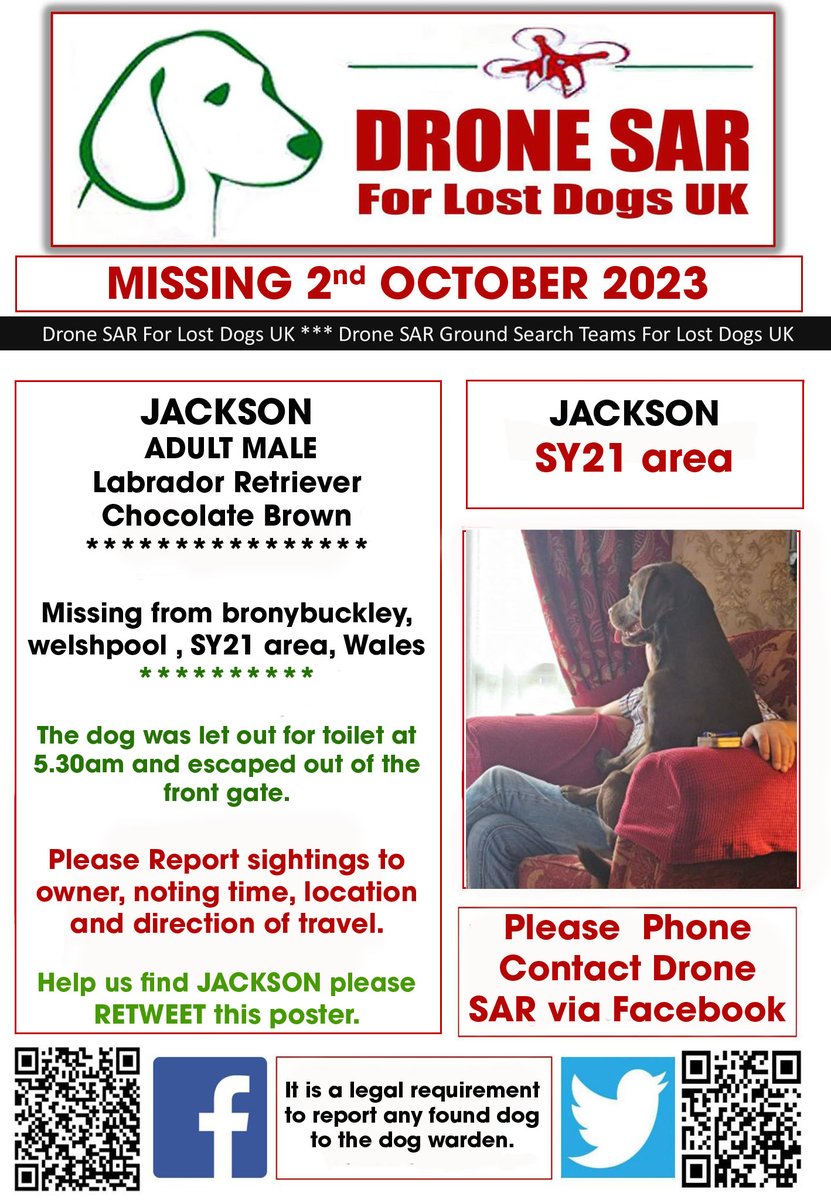 #LostDog #Alert JACKSON
Male Labrador Retriever Chocolate Brown (Age: Adult)
Missing from bronybuckley, welshpool , SY21 area, Wales on Monday, 2nd October 2023 #DroneSAR #MissingDog