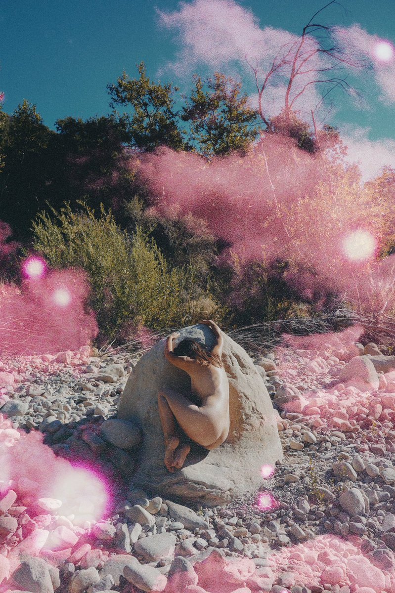 Julia Corbett tweet media