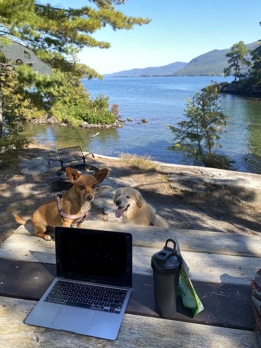 Not a bad office view for the day. #researchlife #pgyfree