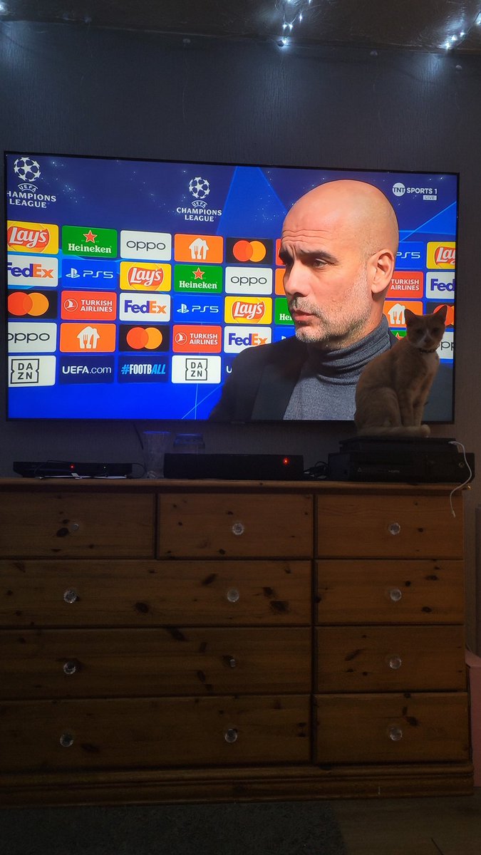 Tony Yates 🐝93:20 (21)el mago the treble 22/23 tweet media