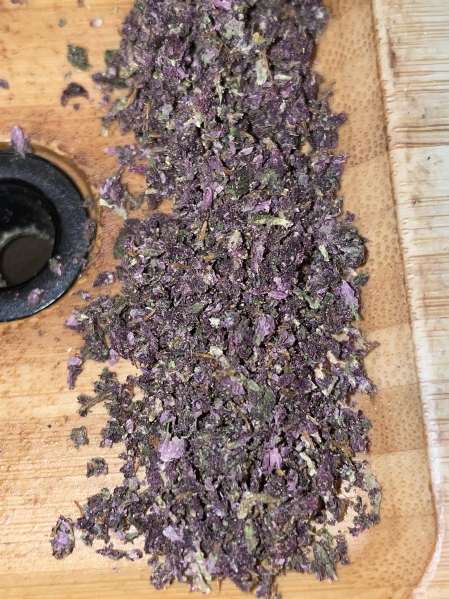 PDXProps's tweet image. That’s not lavender boys and girls! #HomeGrownCannabis 😶‍🌫️ #StayHigh #CannabisCommunity
