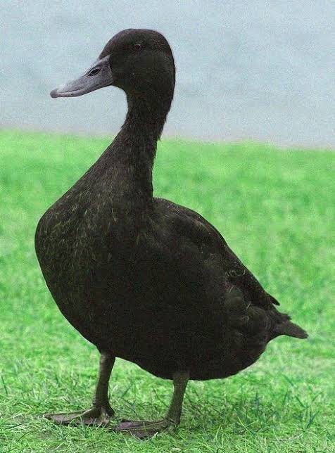 lumylua's tweet image. quote com sua foto favorita do seu corpo