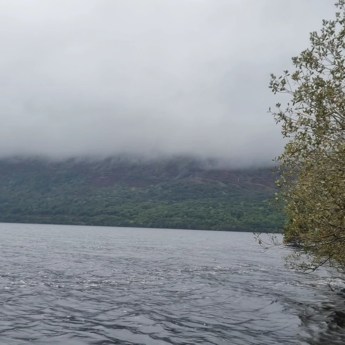 onthewater97486's tweet photo. More of the same today with heavy rain, canoe sailing and breathtaking scenery. #lochawe #BritishCanoeing #visitscotland https://t.co/94H7tAczn9