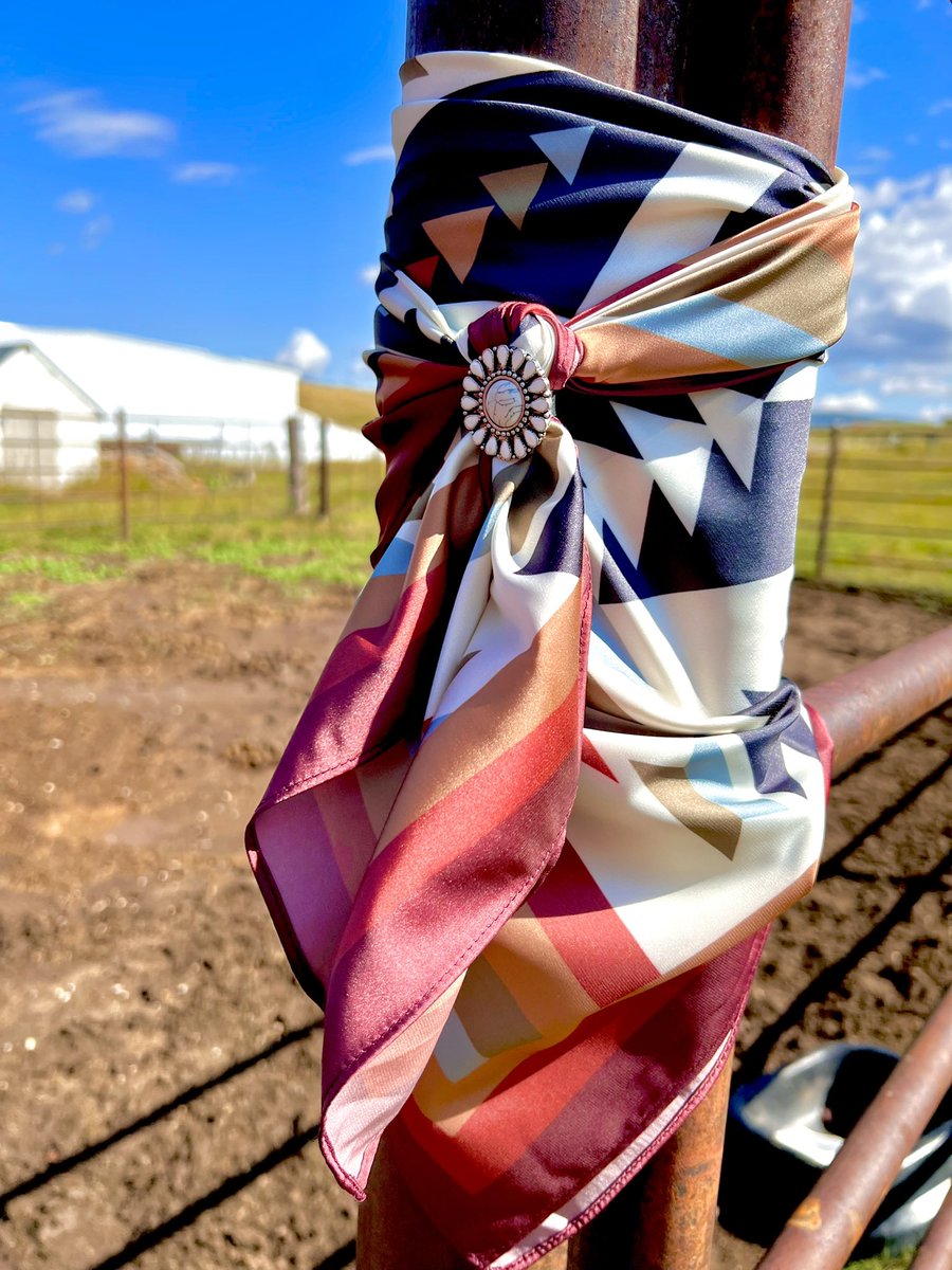 HiDesertVaquera's tweet photo. Sedona Wild Rag✨ https://t.co/EeoE2tutW6