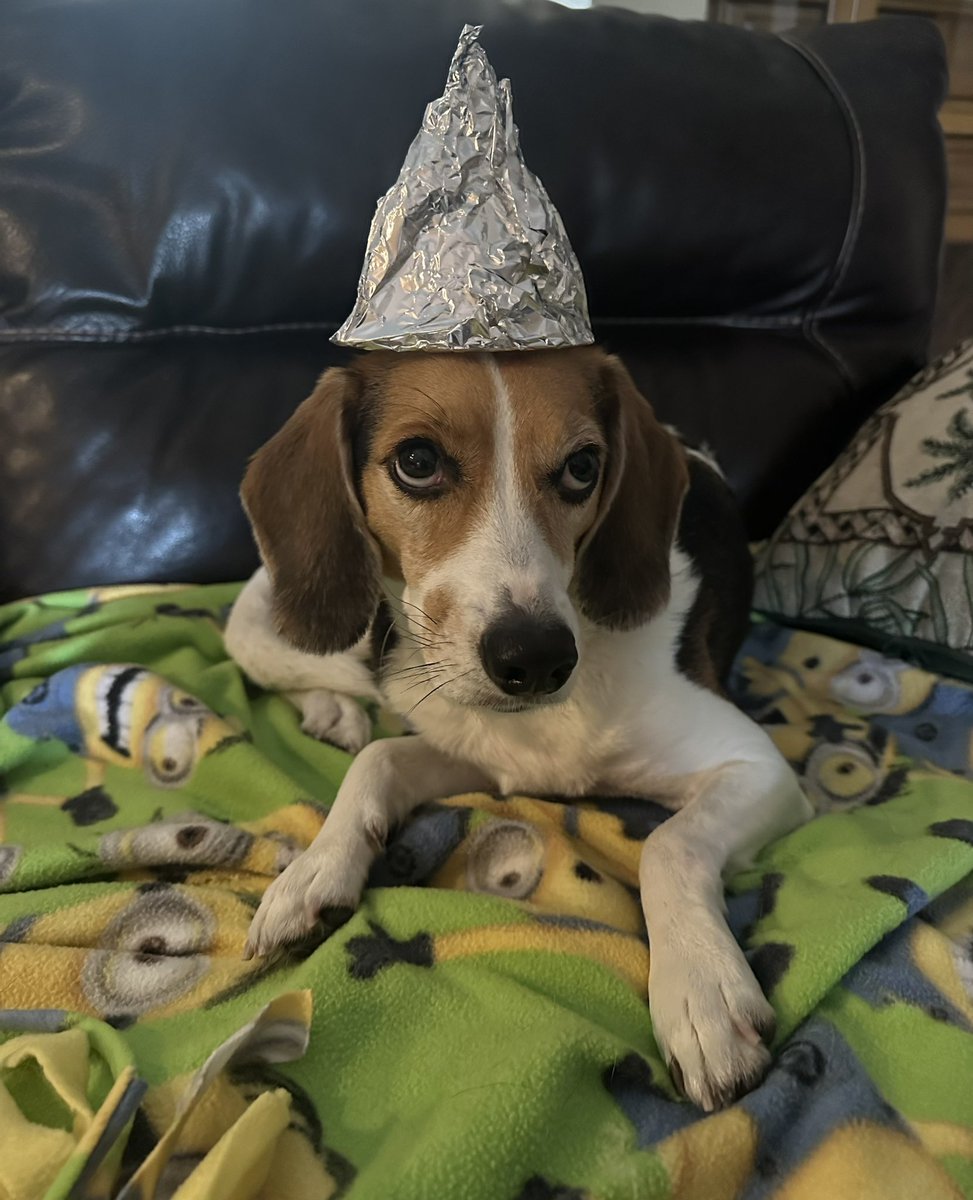 The nanoparticles could not get into my brain! 😂🤣🤖