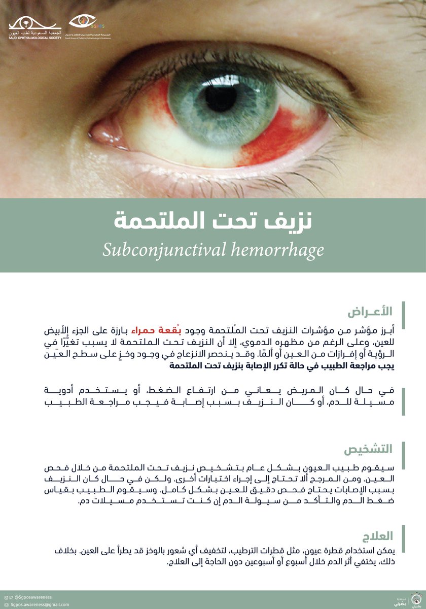 مبادرة بصّرني tweet media