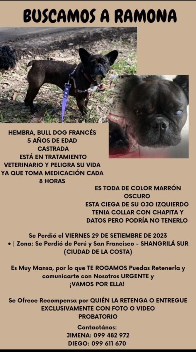 A todos los que puedan difundir. A unos amigos les entraron a robar y se llevaron a Ramona. Desde ya muchas gracias por la colaboración!