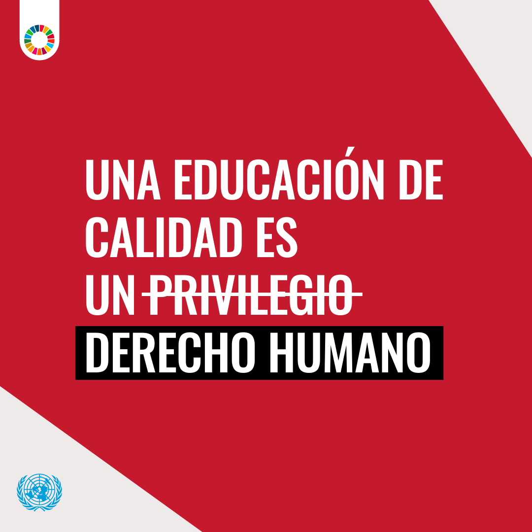 ONU_es's tweet photo. La educación de calidad no es un lujo, es un derecho humano.

Los #ObjetivosMundiales promueven una educación inclusiva y de calidad para todos. https://t.co/7oROokGbr8 https://t.co/p2agEjCz5C