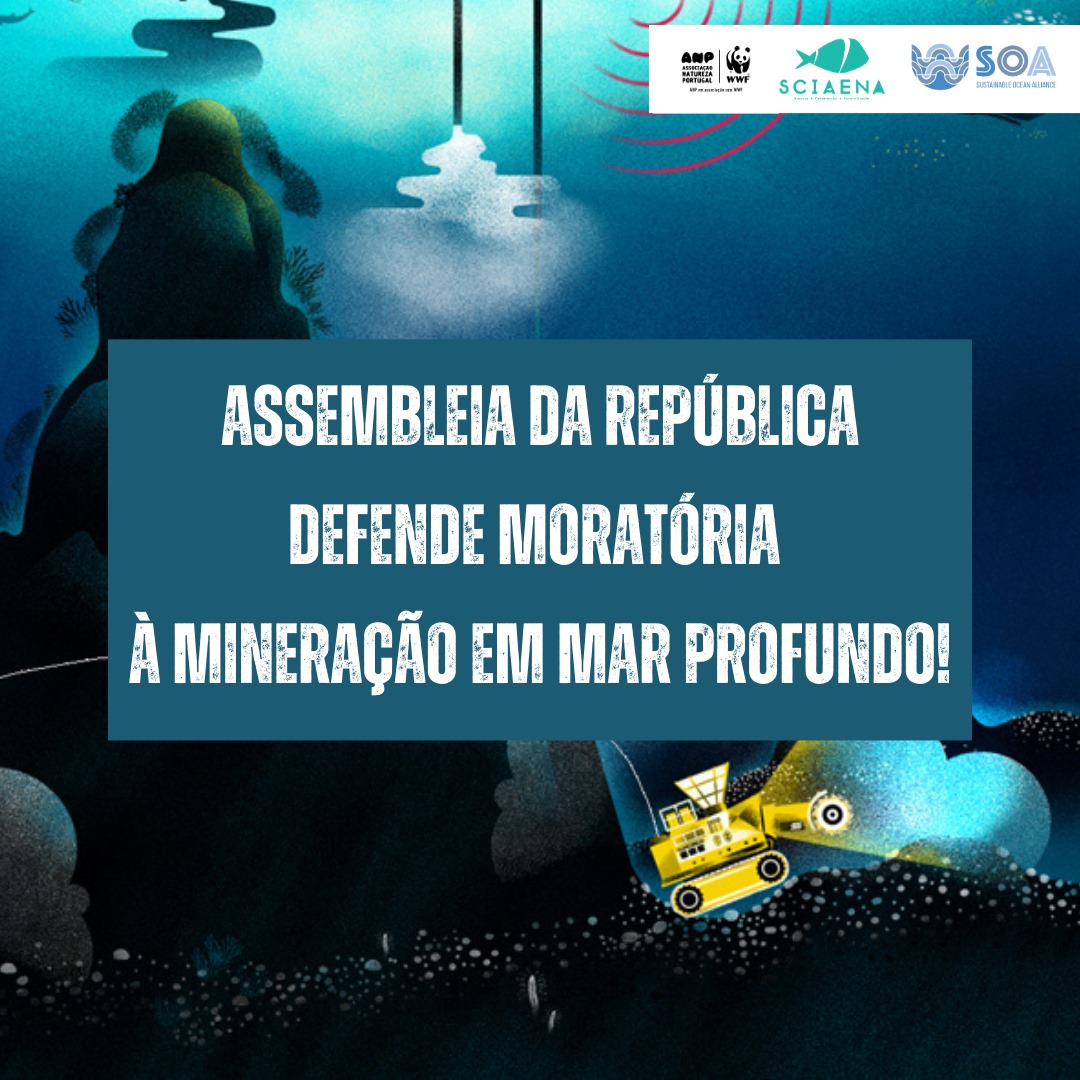 Sciaena_NGO's tweet image. A Assembleia da República aprovou hoje uma moratória à mineração em águas nacionais até 2050 💙 A @Sciaena_NGO, a @WWF_Portugal e a @SOAlliance congratulam a AR por este resultado tão importante e ambicioso e esperam ver a moratória implementada o mais rapidamente possível!