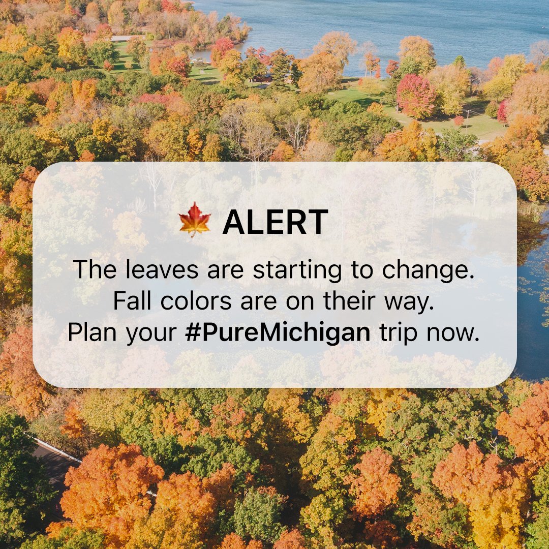 PureMichigan's tweet photo. One alert today was essential. This one is just here to #KeepFallFresh.

https://t.co/8rswXpG0nZ #PureMichigan https://t.co/DChtrdwqYK