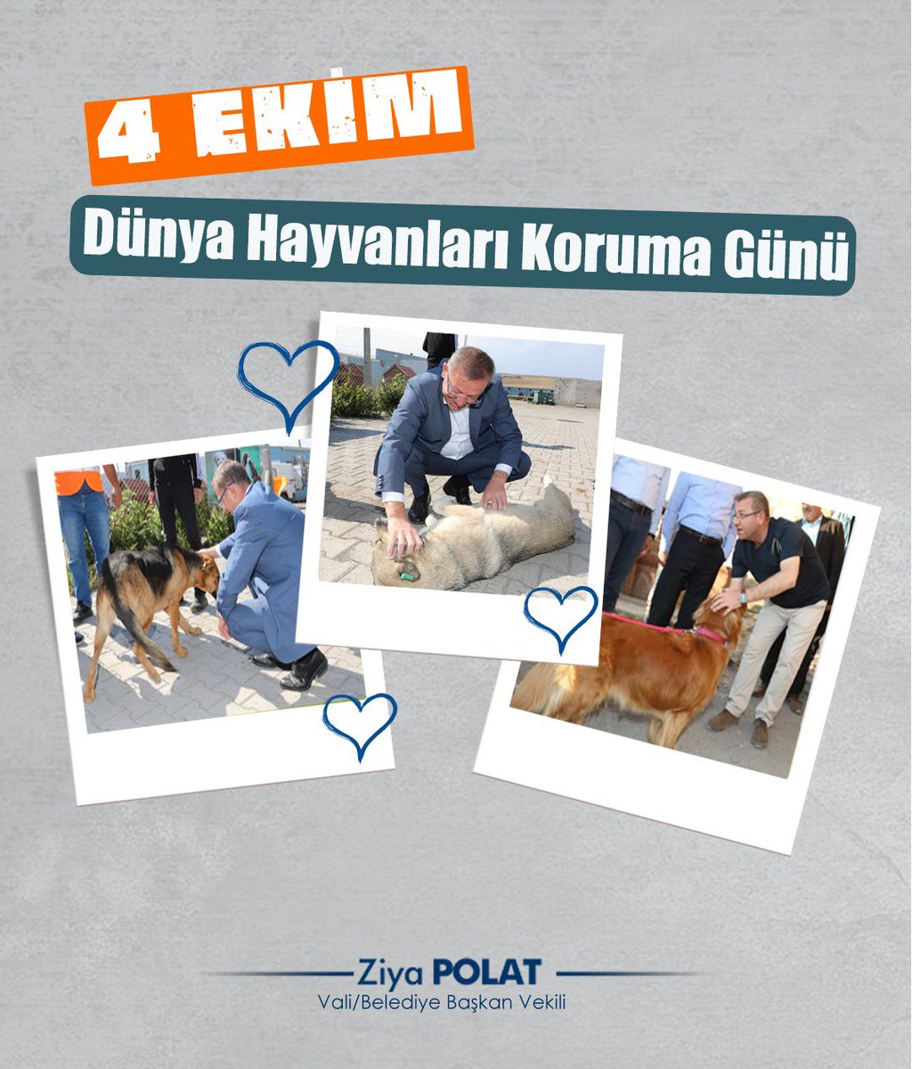 Can Dostlarımız Hepimize Emanet🐈🐕

#HayvanlarıKorumaGünü