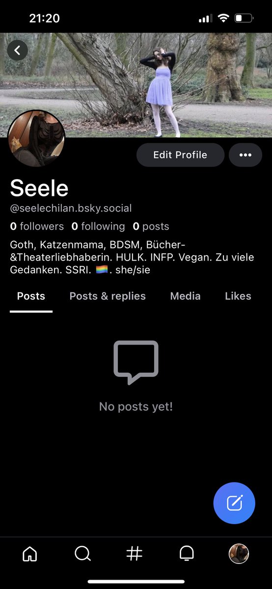 Seele tweet media