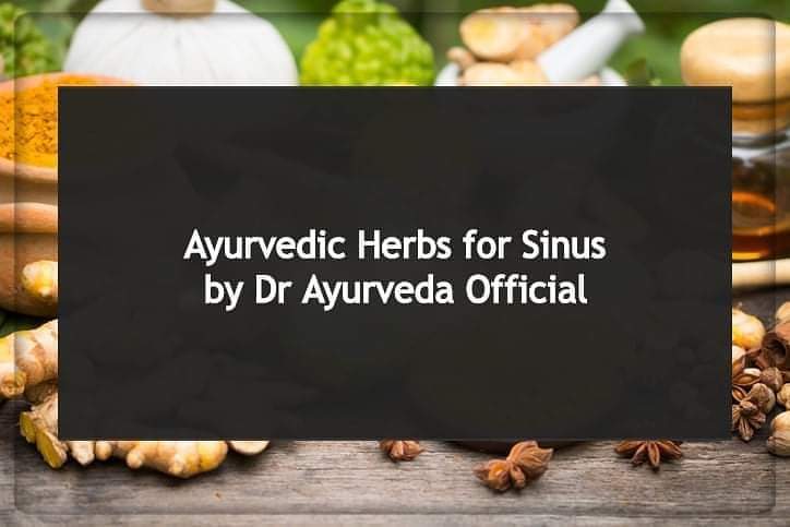 DrAyurvedaUK's tweet image. The sinuses or steam of the nasal openings are filled with air spaces in the skull. Have a look at few Ayurveda Herbs for Sinus by Dr Ayurveda Official:
* Ginger and Honey
* Turmeric
* Garlic
#HerbsforSinus #SinusRelief #SinusProblems #AyurvedaLifestyle #DrAyurveda #BirminghamUK