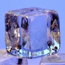 Skraw! VGC tweet media