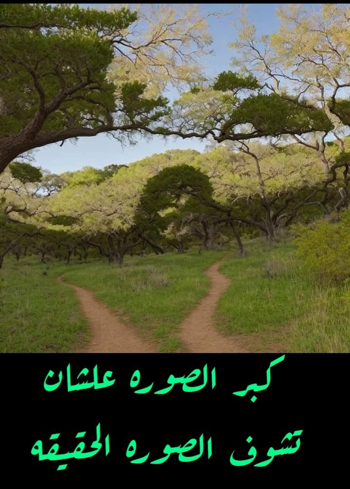 Localpleasure's tweet image. ابداع