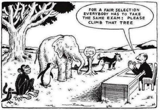 A3 One thing that helped me in my teaching #career was this image. Made me question the #education system in my country and how I was #taught and belief. That is why I am curious to explore the options available for students to demonstrate knowledge #LTHEchat