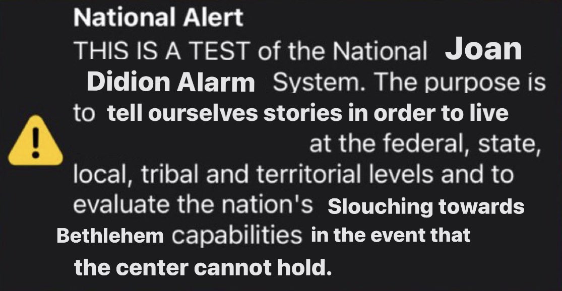 StraightioLab tweet media