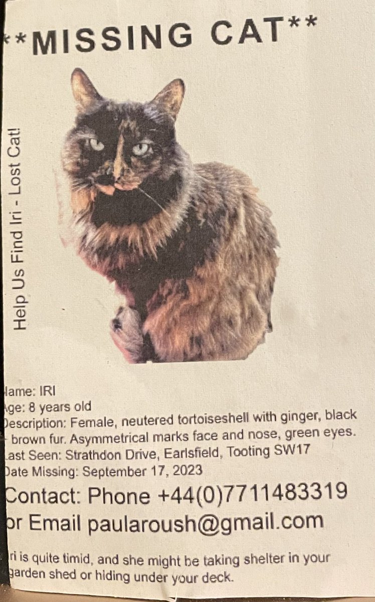 ❤ Streatham tweet media