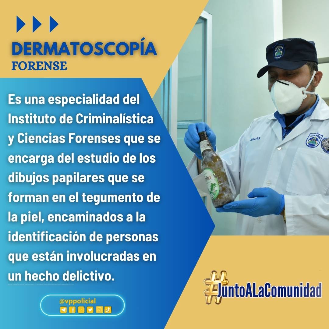 #04Oct Estudio de las huellas o dibujos 🔬 que existen en la dermis o segunda capa de la piel humana, conformando un sistema identificativo único, categórico y permanente para cada ser humano.
 
Los labios, antebrazos y rodillas son otras huellas dérmicas. 
#JuntoALaComunidad