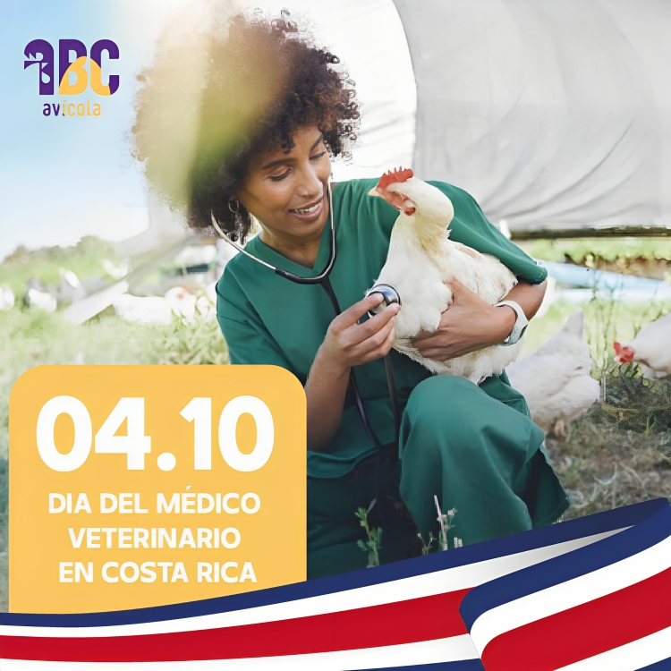 ABCAvicola's tweet photo. El 8 de diciembre de 1997 la Asamblea Legislativa de la República de Costa Rica aprueba la Ley Orgánica del Colegio de Médicos Veterinarios 7724, la que en su Capítulo XXI en las Disposiciones Finales Artículo 85 declara el 4 de octubre como el Día del Médico Veterinario. https://t.co/zWcdDVZ6F1