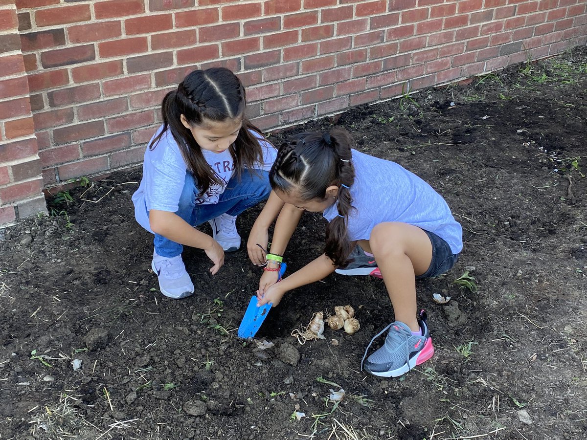 Anthony Carolini tweet media