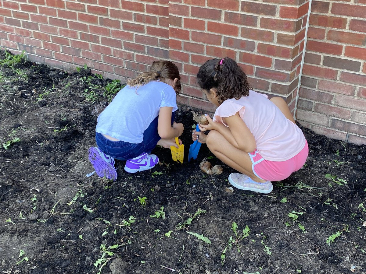 Anthony Carolini tweet media