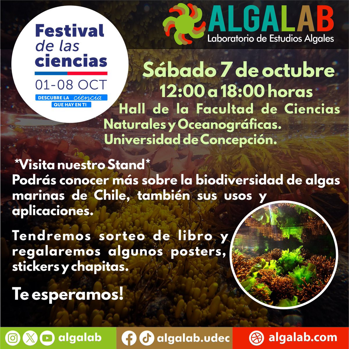 AlgaLab's tweet photo. *Festival de las Ciencias 2023* ¡La Ciencia se vive en La Ballena!🐋
Les esperamos este sábado 7 de octubre, de 12:00 a 18:00 horas, en el hall de la Facultad de Ciencias Naturales y Oceanográficas @NaturaUdec
#FestivalDeCiencias #Algalab #UdeC #AlgasMarinas https://t.co/9YC8mtzYz7