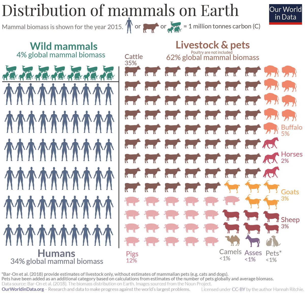 DyanaLoehr's tweet photo. #Dierendag gaat niet alleen over die 1% huisdieren. 

Meer dan 60% van alle zoogdieren op aarde zijn helaas gefokte dieren, alleen maar voor gebruik en consumptie. Allemaal onnodig.

Als je #diervriendelijk of duurzaam bent, eet je geen dieren.

#EetGeenDierendag 
#vegan https://t.co/42vi2EnHCG